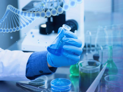 Information about Clean Workbench