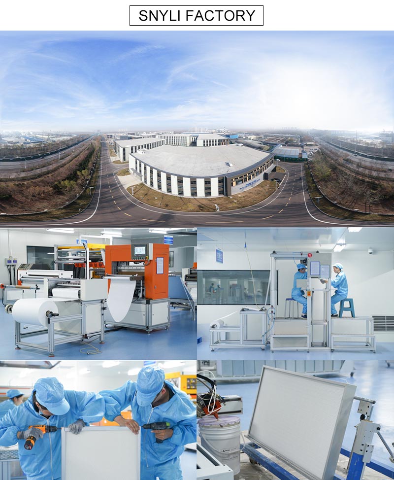 Snyli Environmental Technology (Shandong) Co.,Ltd