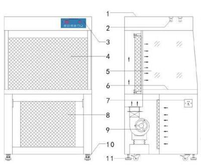 수평 흐름 클린 벤치